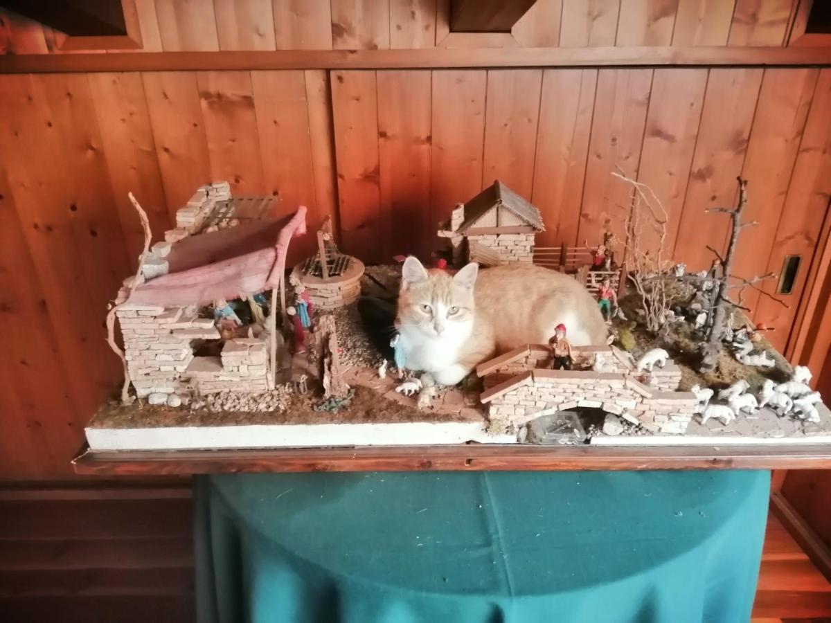 B&B Da Paolo Con Vista Lago Di Garda Сан Дзено ди Монтаня Екстериор снимка